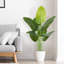 Arbre de paradis artificiel 6 pi 6 pi - grande plante tropicale réaliste avec pot de chambre de bébé (ensemble de 2)-1131895828-1131895830