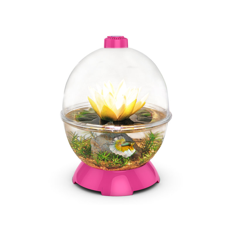 Habitat modulaire Wonder Bubble, Rose