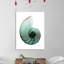 Shimmering Snail 4 - Wrapped Canvas Print-592581158