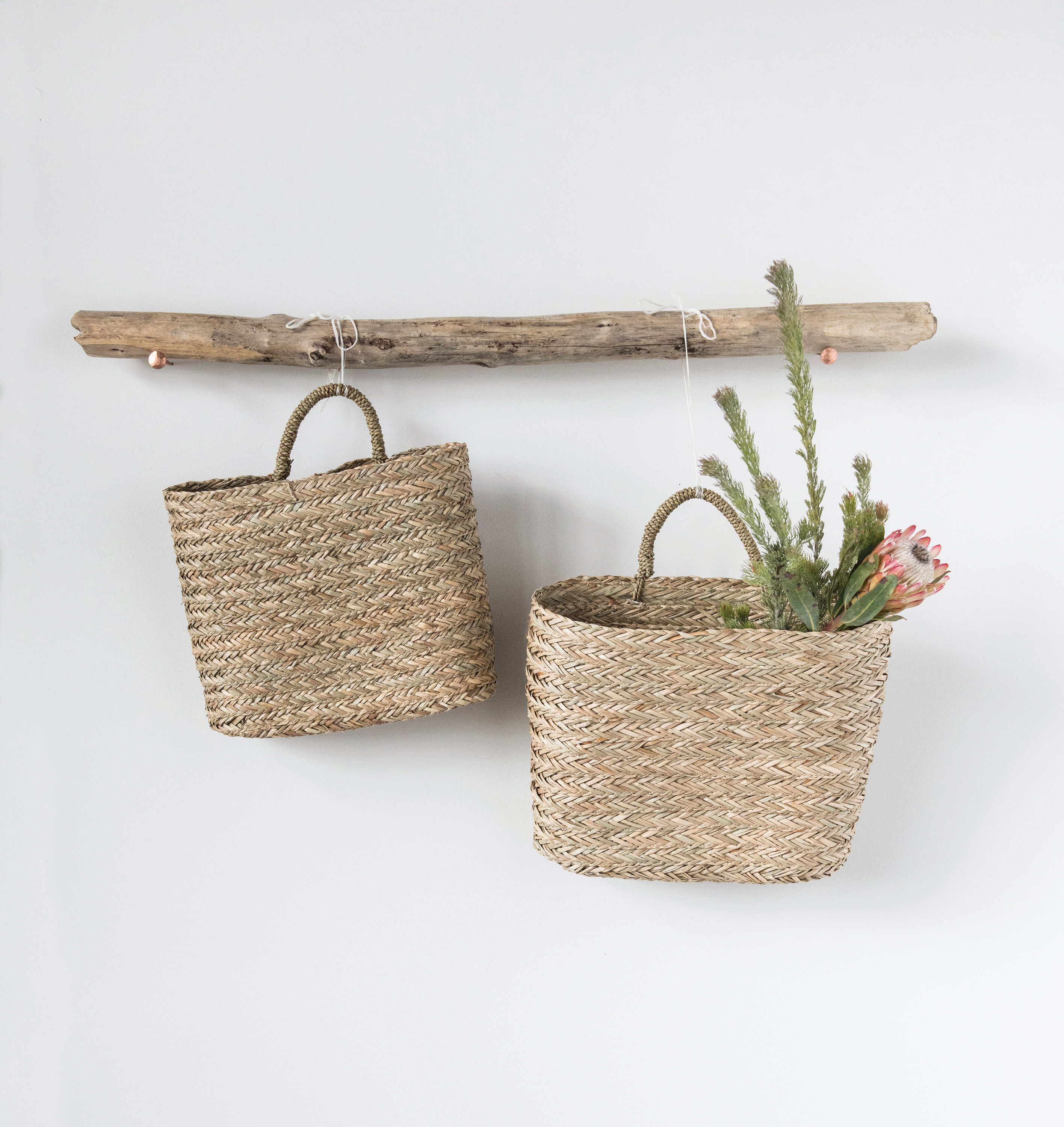 Sand & Stable™ Handwoven Seagrass Wall Mount Baskets with Handles "& Reviews" | Wayfair