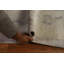 Tapis de style oriental végétal noué à la main Art Deco 9 x 12