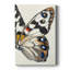 ANIMALS Series CECLII - Gallery Cavas sur mesure-884459830