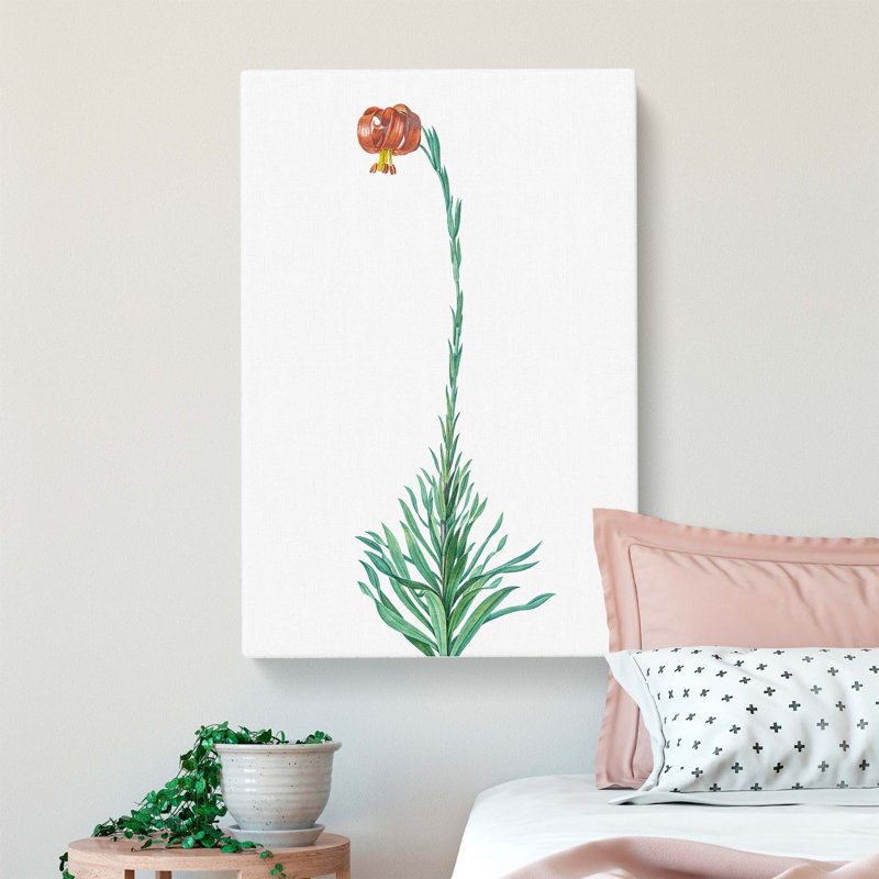 Martagon Lily by Pierre-Joseph Redoute - Wrapped Canvas Print, 60cm H x 40cm W x 3cm D