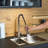 RoomTec Pull Down Kitchen Faucet
