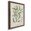 Antique Ammond Botanical IV, reproduction d'art sur toile-88381035-88381034