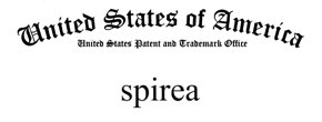spirea Logo