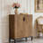 Storage Cabinet, Spacious Shoe Racks Organizer, Shoe Cabinet-1871599160