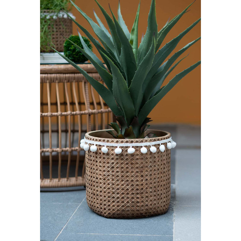 Bea Pot Planter - Set of 2