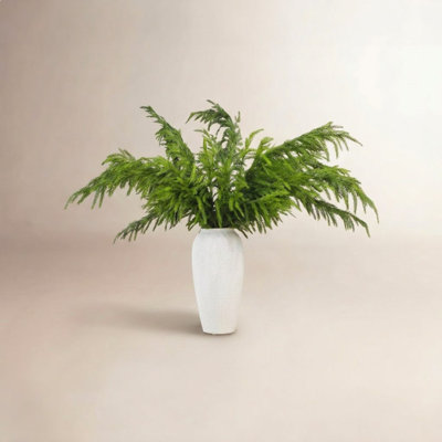 39" Norfolk Pine Branch