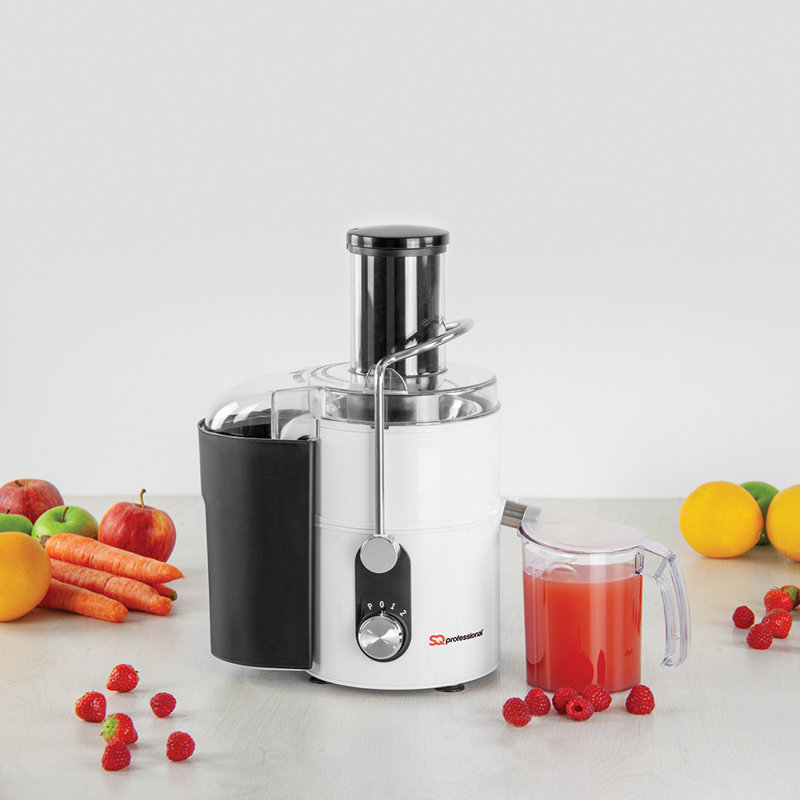 SQ Professional Blitz 2 Speed Countertop Blender, White/Black