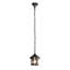Princetown 1 - Light Pendant