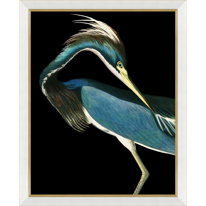 «Solarized Audubon Birds - Simple Photo Frame», impression