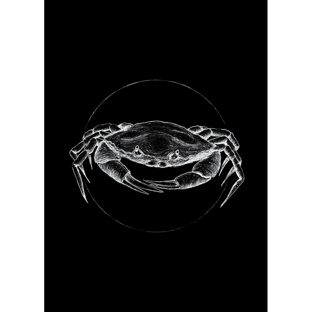 Poster Crab in Schwarz