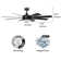 Barbre 60'' Ceiling Fan with LED Lights