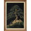 Pin sur rocher, art mural encadré-1872664836-1872664838