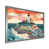 Silver Picture Framed