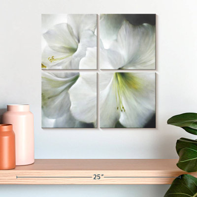 Harnek White Amaryllis II