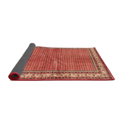 Oriental Indoor Rug