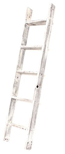 Dupuy 5 ft Blanket Ladder