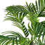 36-Inch Palm in Woven White Basket Urn