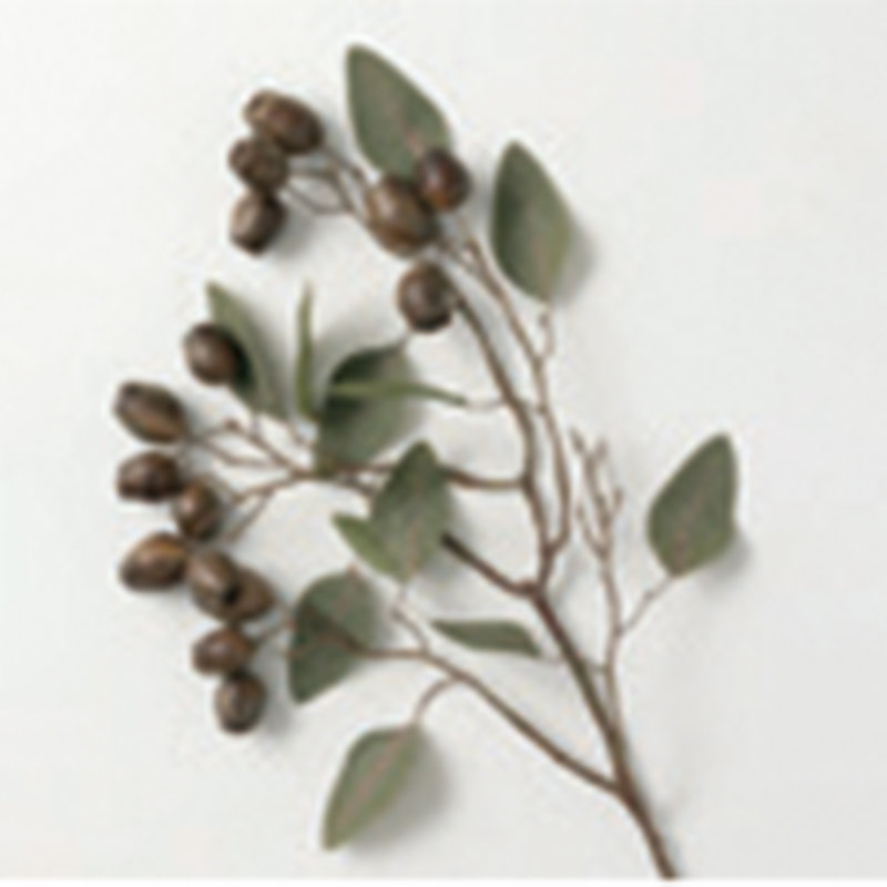 Ensemble de 3 vaporisateur d'eucalyptus à graines Sullivan, tige florale artificielle brune, 27 po