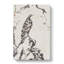 Two Eagles by Bada Shanren - Wrapped Canvas-55361425