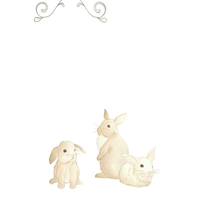 Bébés animaux I