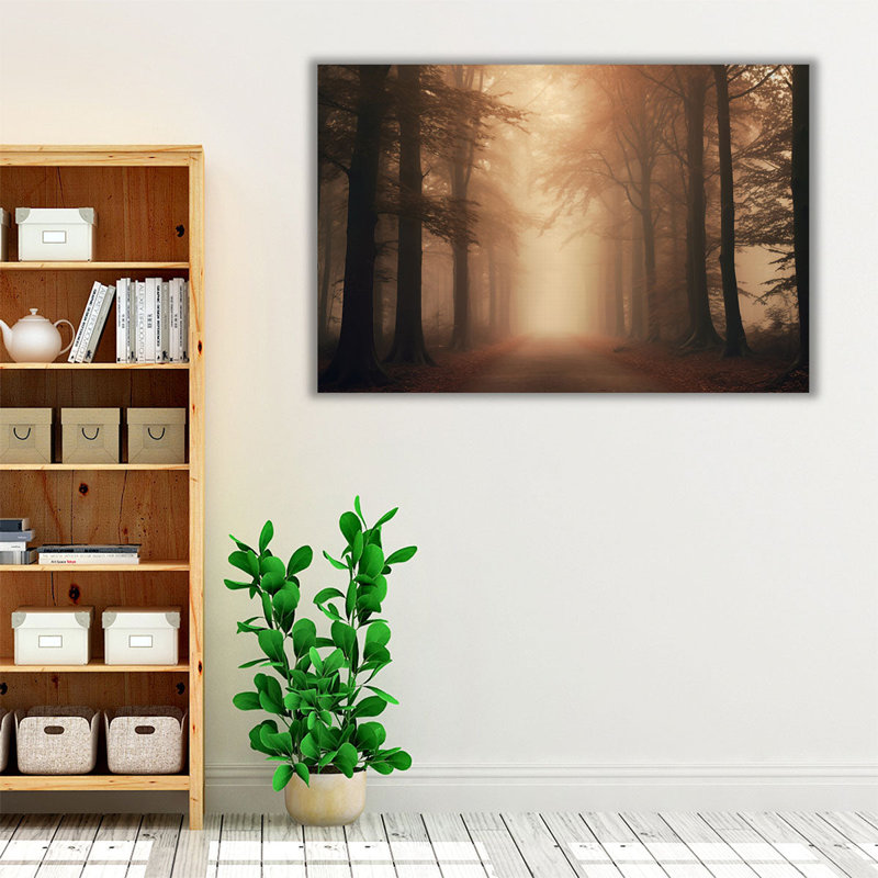 «Misty Woodland Wander», H 24 po x l 36 po