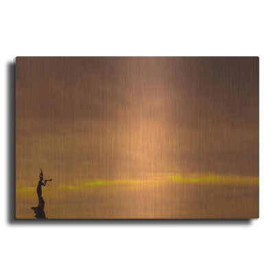 «Mermaid Of The Sky» par Chris Moyer