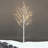 Birch Snow Lighted Trees and Branches-1641773521