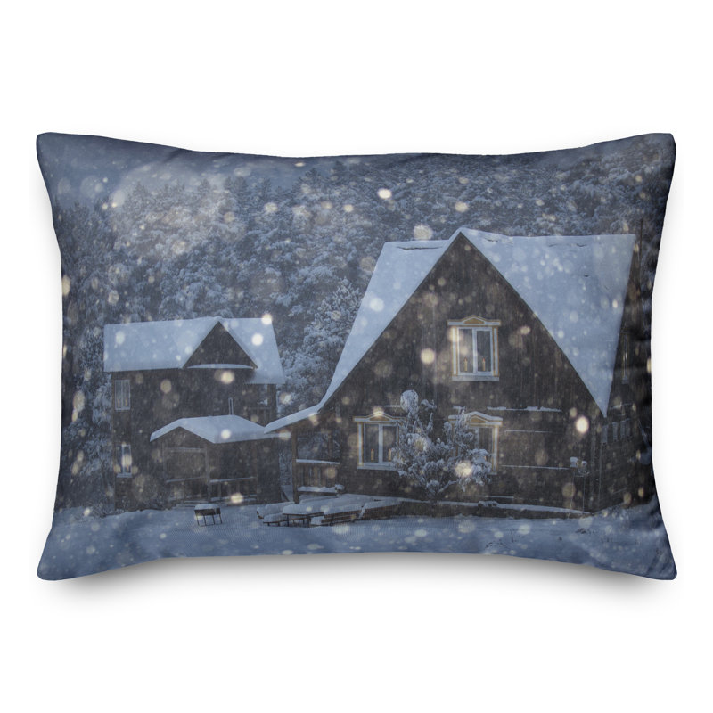 Throw Pillow