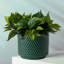 Ahart Handmade Ceramic Pot Planter-1663702340