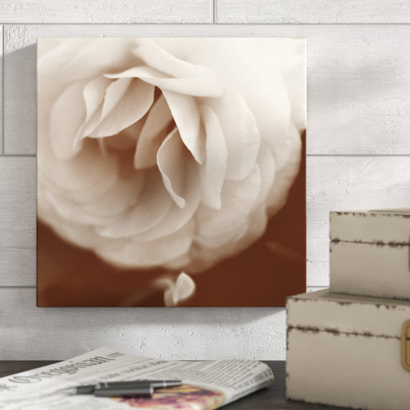«Sepia Rapture II», photographie sur toile, H 12 po x l 12 po