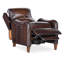 Carrington Power Recliner w/Power Headrest-480967404
