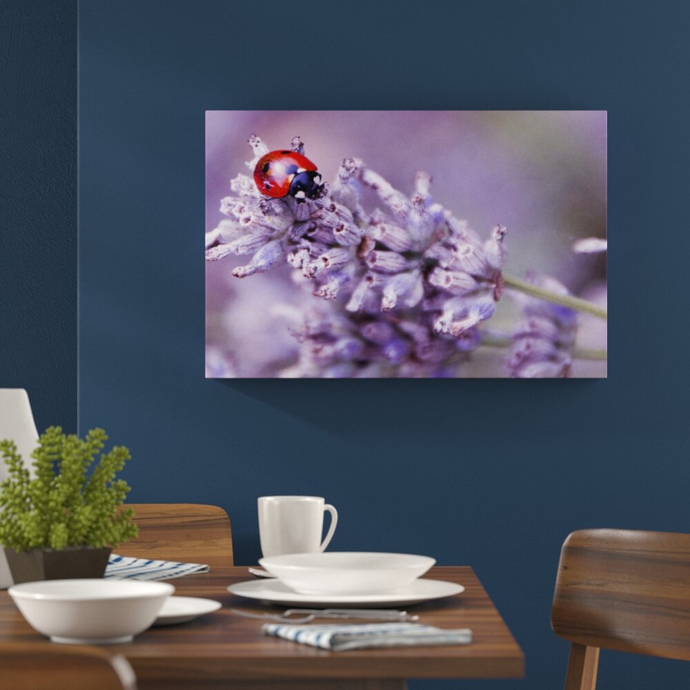 Leinwandbild Kleiner Marienkäfer auf Lavendel