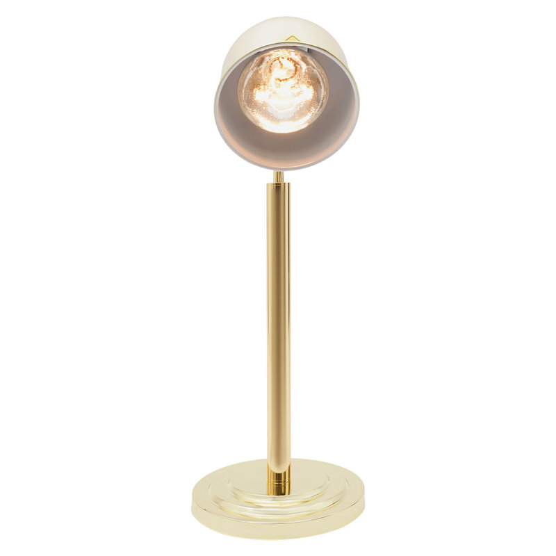 Ampoule infrarouge argentée pour la nourriture, Or