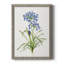 Toile encadrée «Blue Lived Botanical I-Premium» - prête à être accrochée-61358213-61358218