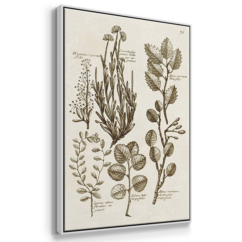 Sépia Botanical Journal VI 3 pièces, Blanc, H 40 po x l 78 po