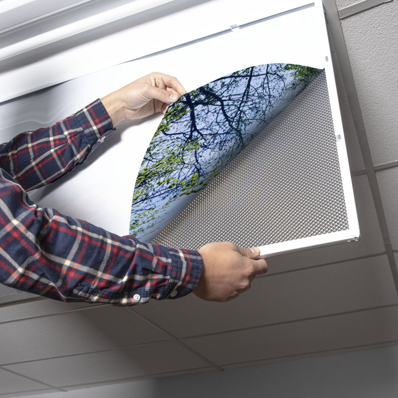 Tree Rectangle Fixture Component Ceiling Light