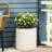 MGO PLANTER
