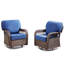 Chaises de patio, chaises d'extérieur, ensemble de 2 chaises pivotantes avec coussins pour porche et jardin