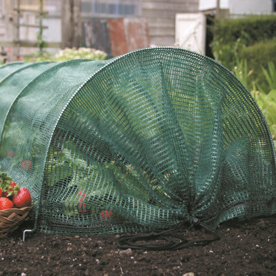 Ashalyn 9.10 Ft W x 1.5 Ft D Mini Greenhouse
