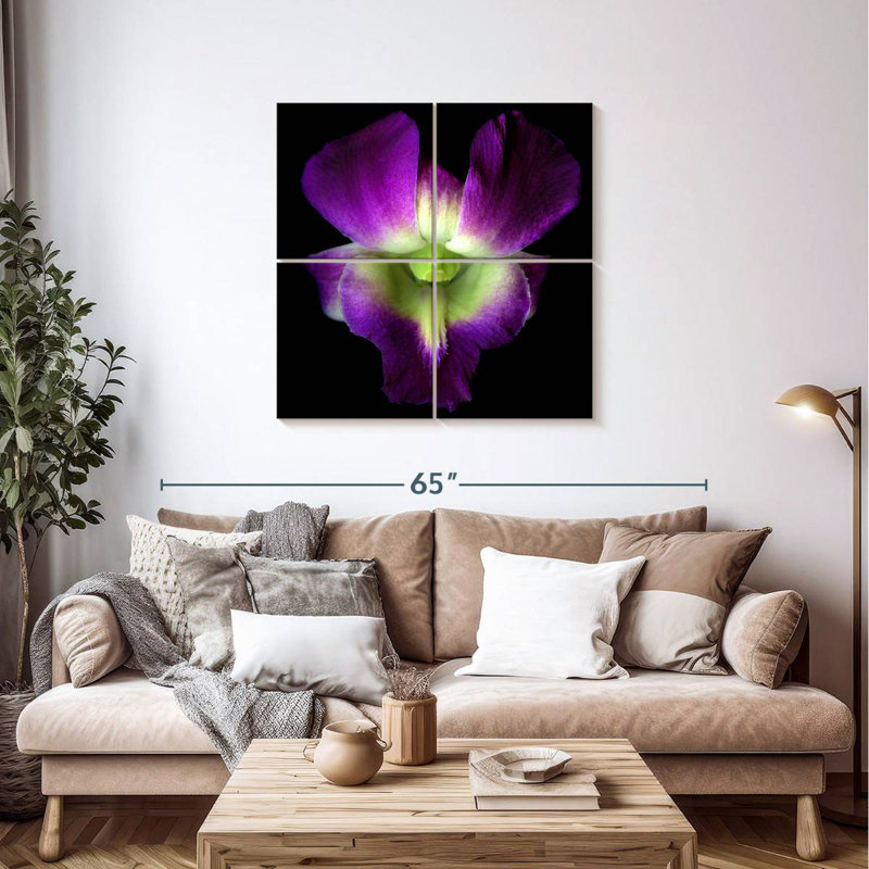 Harnek Solo Orchid