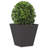 Aldegundo Metal Elevated Planter-239364017-239364023
