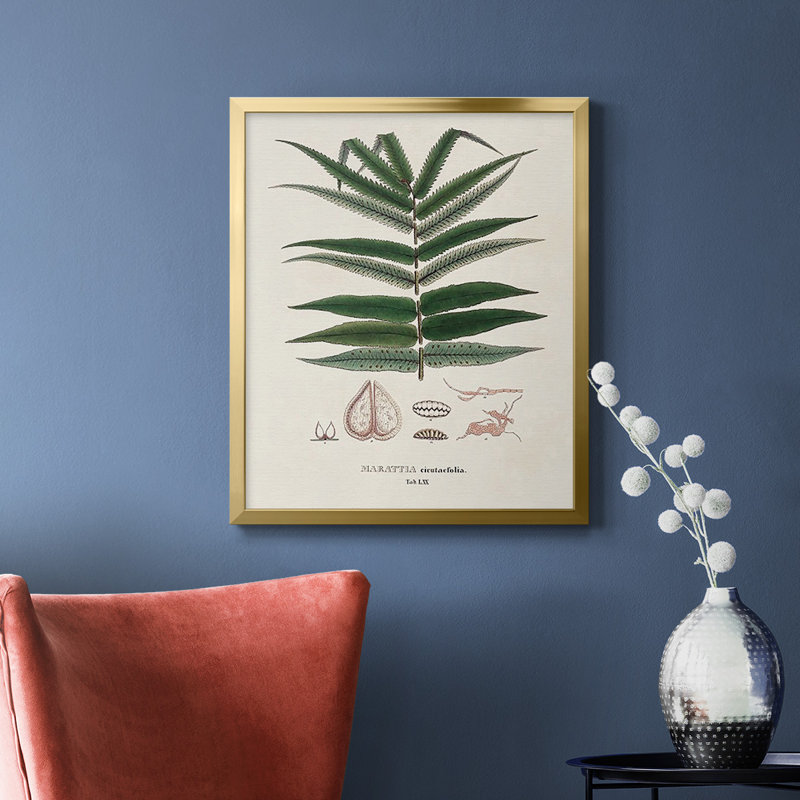 Toile encadrée de qualité supérieure Botanical Society, Or, H 24 po x l 20 po