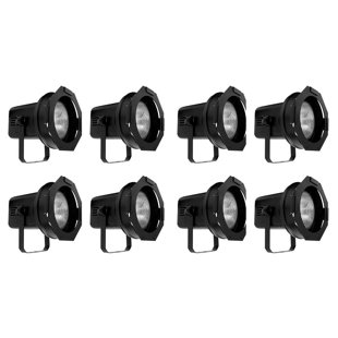 Light Bulbs (Set of 8)