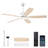 Ceiling Fans With Lights, Smart Ceiling Fan With App And Remote Control-574784612-582943719