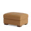 Catalina Ottoman-1664669142