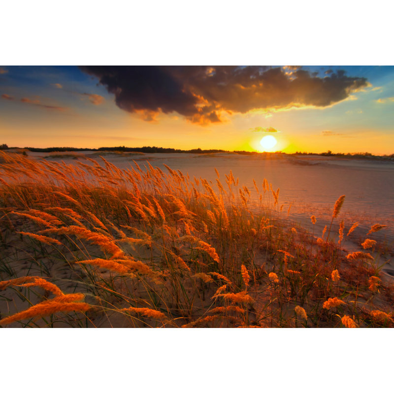 Willowdale Steppe Sunset - Wrapped Canvas Print, 30cm H x 46cm W x 3.8cm D