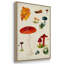 " Mushroom Species VI " 3 - Pieces-91891305-91891302